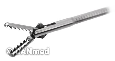 dan-4033_klein.jpg