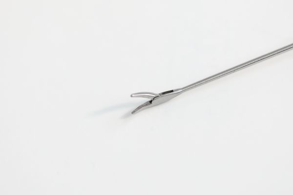 lyz-674-906.jpg