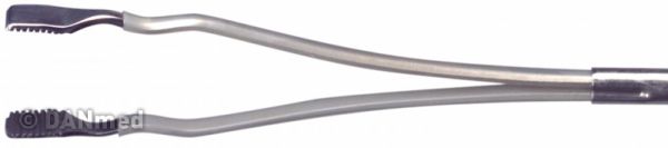 paddle%20tong.jpg